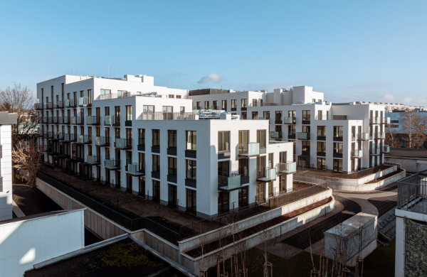 Clou Lindego - фото 8